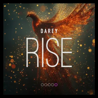 Rise by Darey