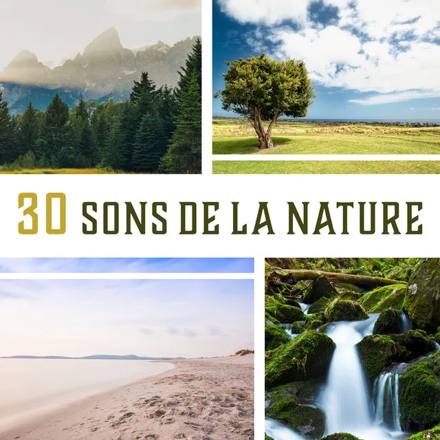 30 Sons de la nature - Paisibles chant des oiseaux, Calme vagues de l'océan, Rivière et la pluie, Ambiance de nuit