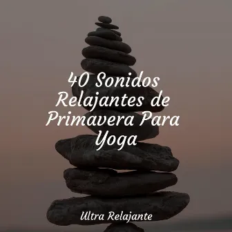 40 Sonidos Relajantes de Primavera Para Yoga by Dormir Mucho