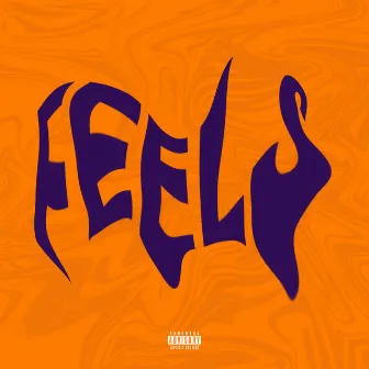 Feels by Brady Yocré