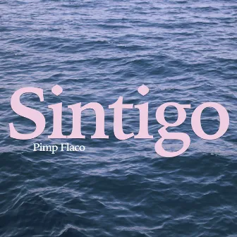 Sintigo by Sandro Jeeawock