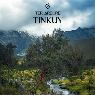 Tinkuy by Iter Arbore