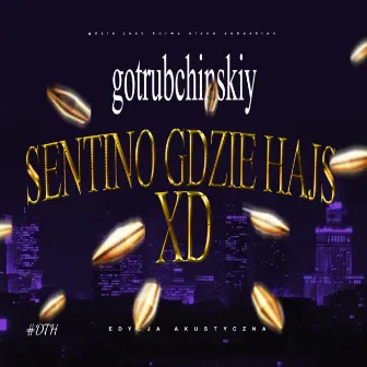 SENTINO GDZIE HAJS? by gotrubchinskiy