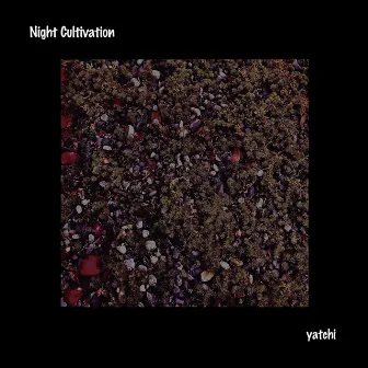 Night Cultivation by yatchi