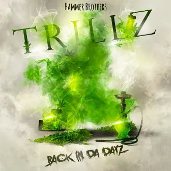 Back In Da Dayz by Trillz