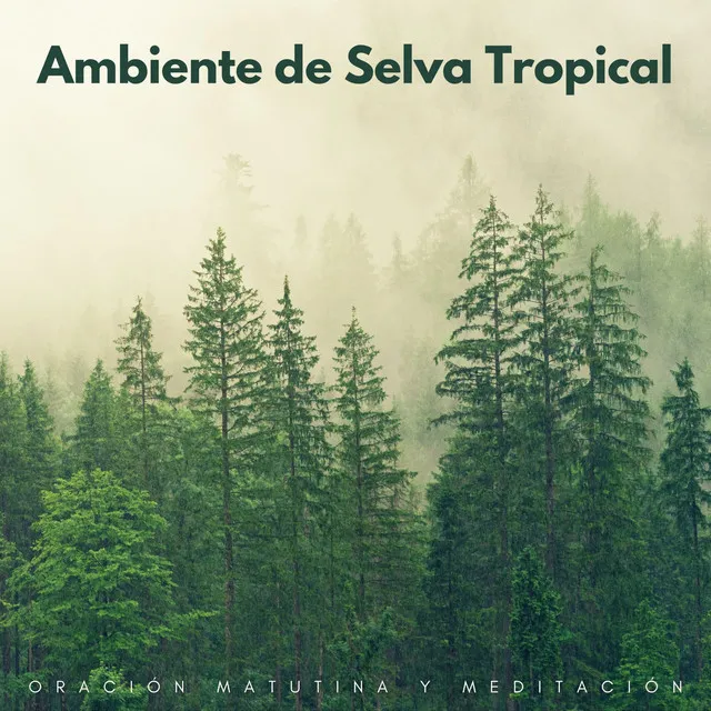 Scherzo De Lluvia Y Viento