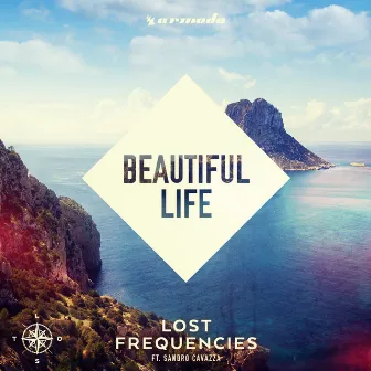 Beautiful Life by Sandro Cavazza