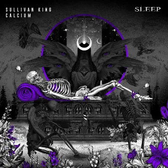 Sleep (with Calcium) by Calcium