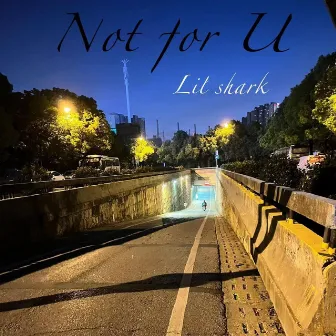 Not for U by SHarK