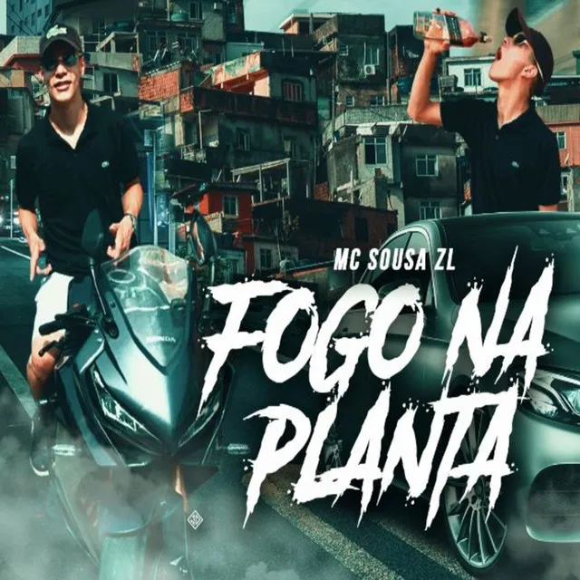 Fogo Na Planta