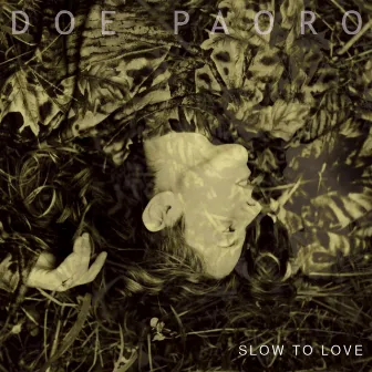 Slow to Love by Doe Paoro