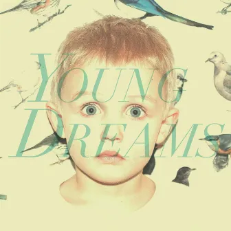 Flight 376 by Young Dreams