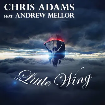 Little Wing (feat. Andrew Mellor) by Chris Adams