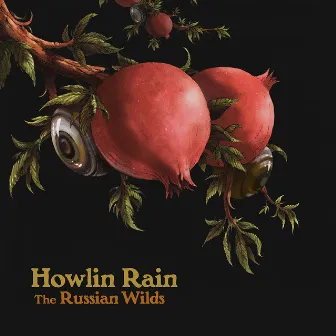 The Russian Wilds by Howlin Rain