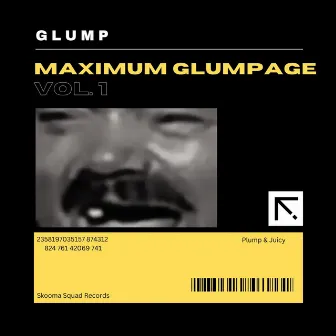 Maximum Glumpage, Vol. 1 (2010-2019) by GLUMP