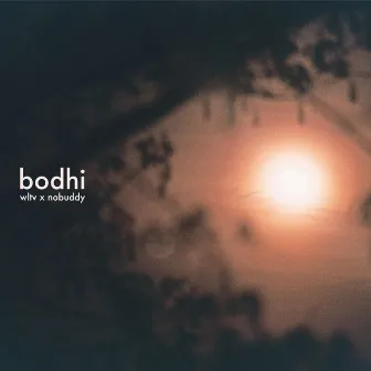 bodhi by wltv