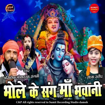 Bhole Ke Sang Maa Bhawani by Akhilesh Shrivastava