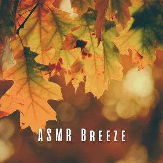 ASMR Breeze: Leaves Rustling in the Wind by Relaxing Noises