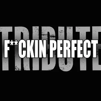 F**kin' Perfect (Pink Tribute) by The A-Team