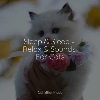 Sleep & Sleep - Relax & Sounds For Cats by Music for Resting Cats