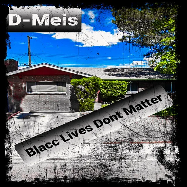 Blacc Lives Don't Matter