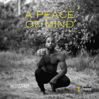 A Peace of Mind (Original Motion Picture Soundtrack) by Nosleepkb