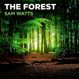 The Forest by Sam Watts