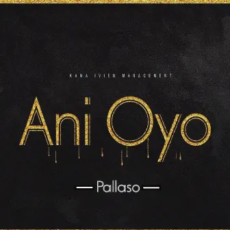 Ani Oyo by Pallaso