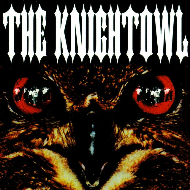 Here Comes the Knightowl