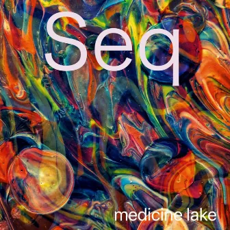 Seq by Medicine Lake