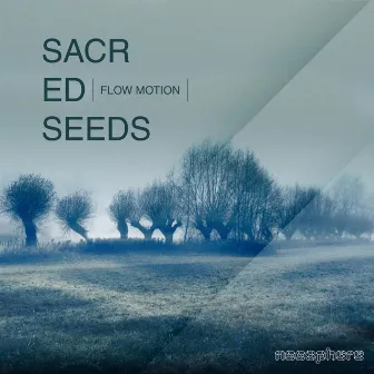 Flow Motion by Sacred Seeds