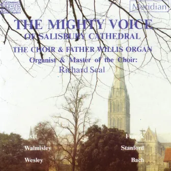 The Mighty Voice of Salisbury Cathedral by Richard Seal