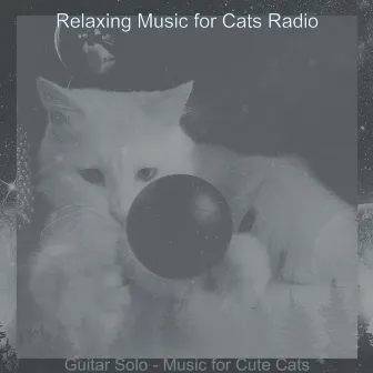 Guitar Solo - Music for Cute Cats by Relaxing Music for Cats Radio