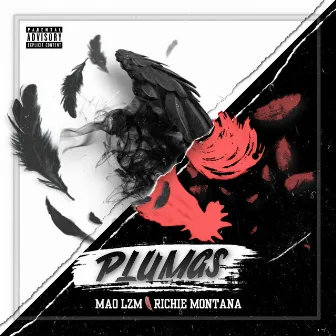 Plumas by Mao LzM