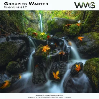 Consciousness EP by Groupies Wanted