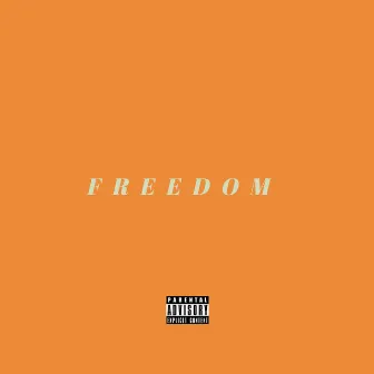 Freedom by Visionary Stevo