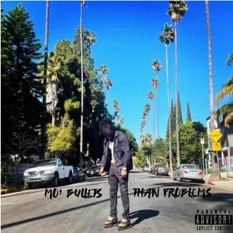 Mo' Bullets Than Problems by Tana Moe