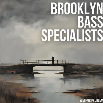 A Minor Problem by Brooklyn Bass Specialists