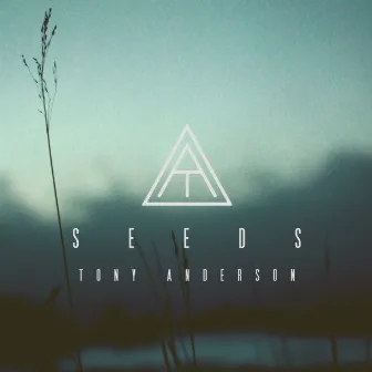 Seeds by Tony Anderson