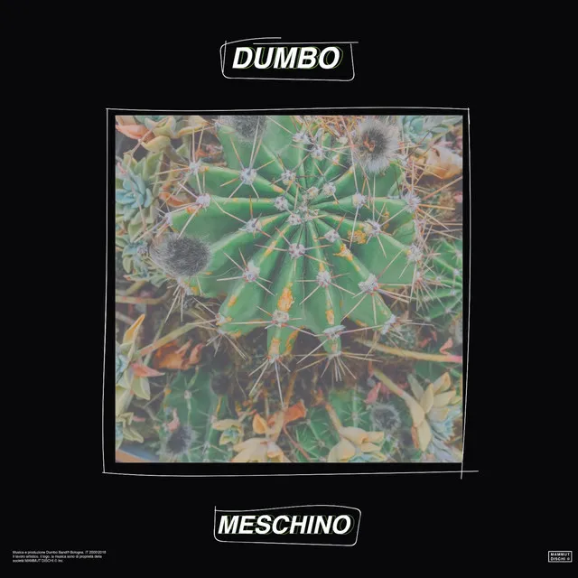 Meschino