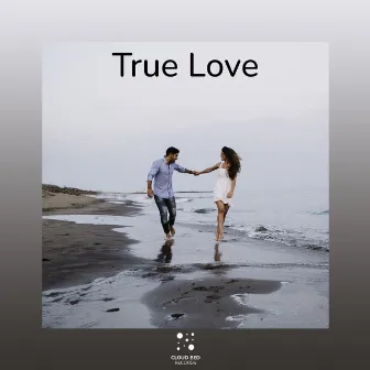 True Love by At Loud