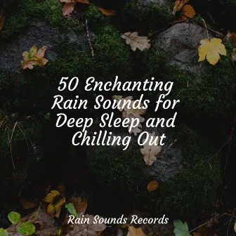 50 Enchanting Rain Sounds for Deep Sleep and Chilling Out by Deep Sleep Relaxation