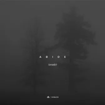 Abide (Acoustic) by Aaron Williams