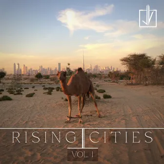 Rising Cities, Vol. 1 by Jonathan Vaughan