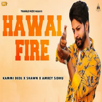 Hawai Fire by Amrey Sidhu