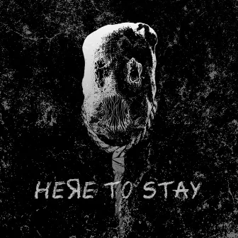 Here To Stay by Rotnest