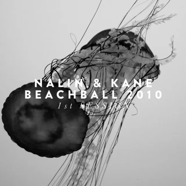 Beachball 2010 (1st Session)