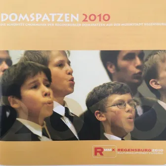 Domspatzen 2010 - Die schönste Chormusik der Regensburger Domspatzen aus der Musikstadt Regensburg by Roland Büchner