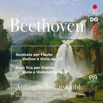 Beethoven: Serenade, Op. 25 & Gran Trio, Op. 3 by Unknown Artist