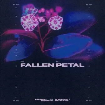 Fallen Petal by Player Dave